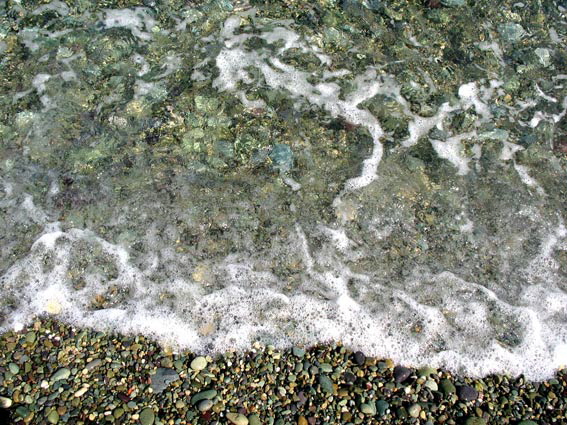 (c)  Barbara van B�rck